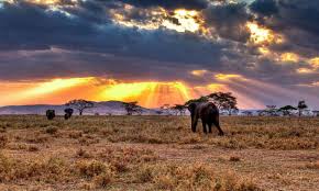 3-Day Fly in & Fly out Serengeti from Zanzibar